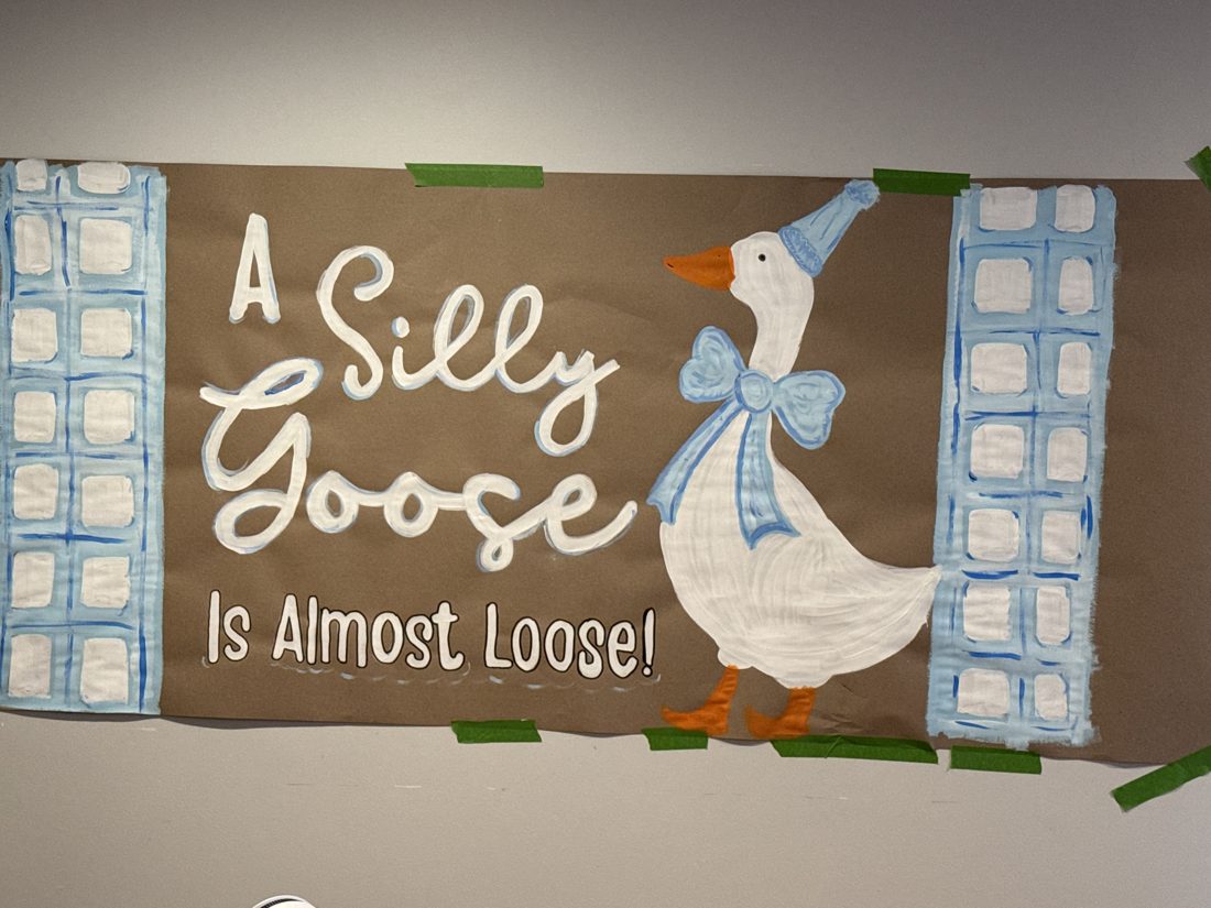 The Party Sets Baby shower decor