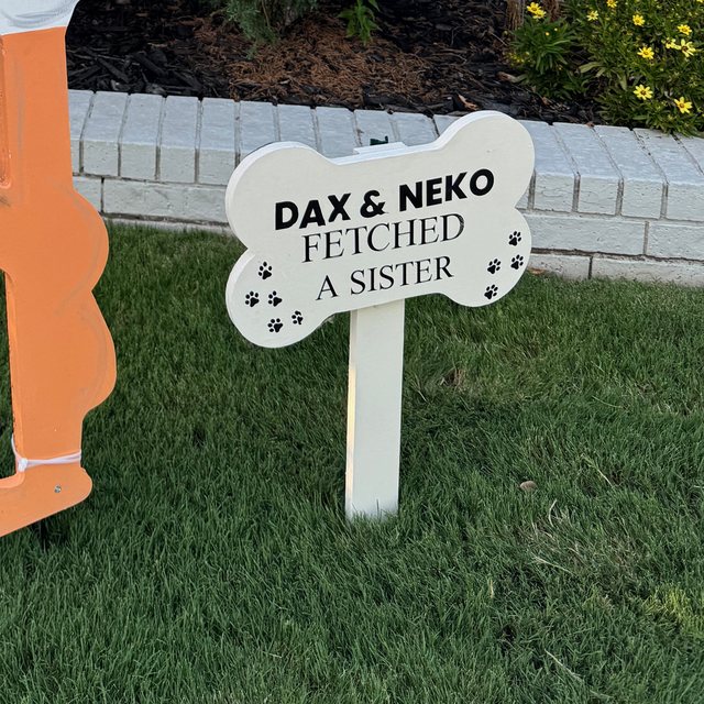 Dog or pet sign