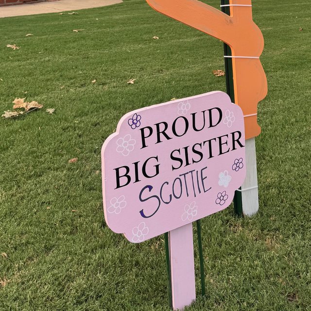 Sibling sign