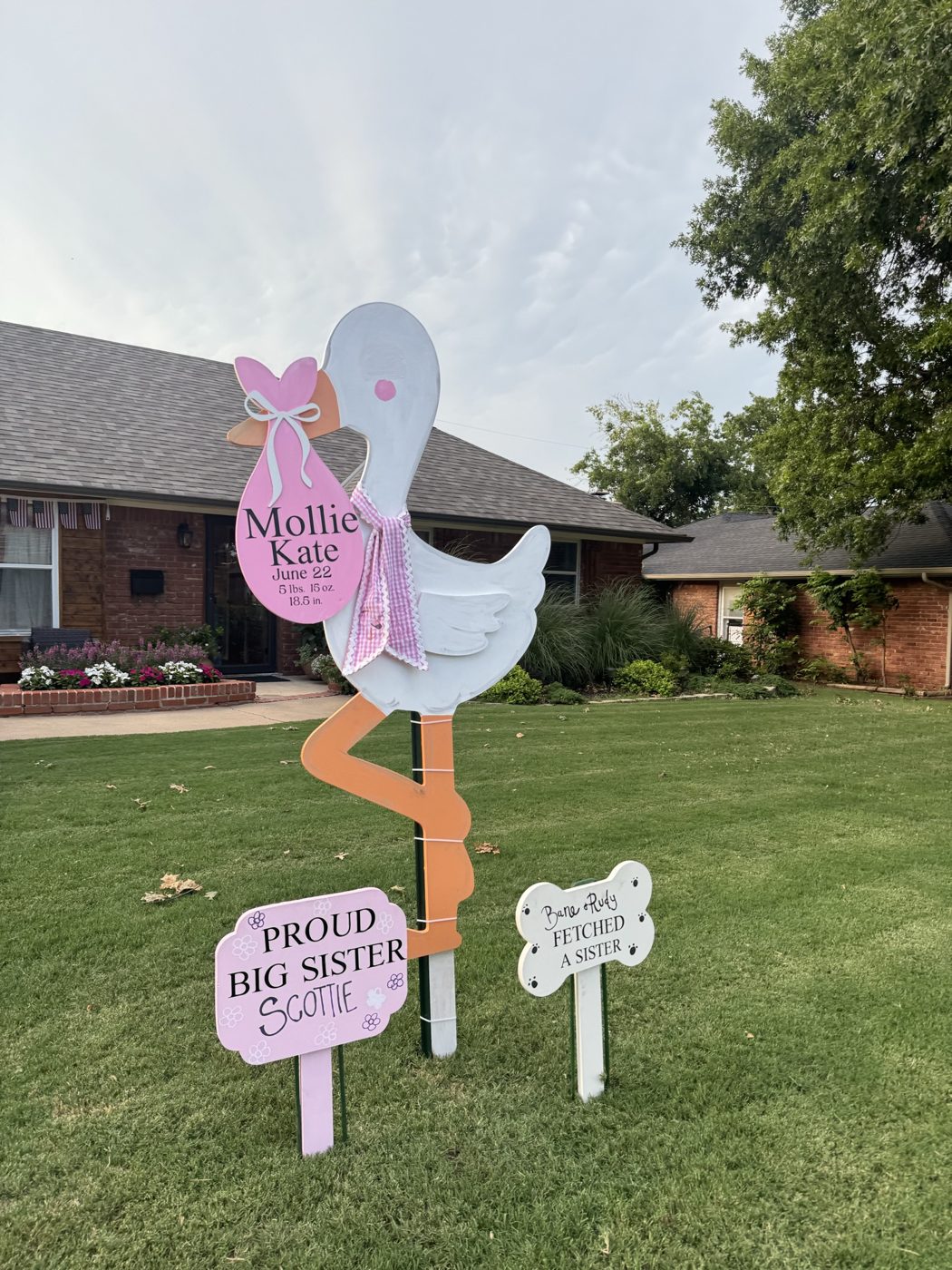 Stork Yard Sign Rental